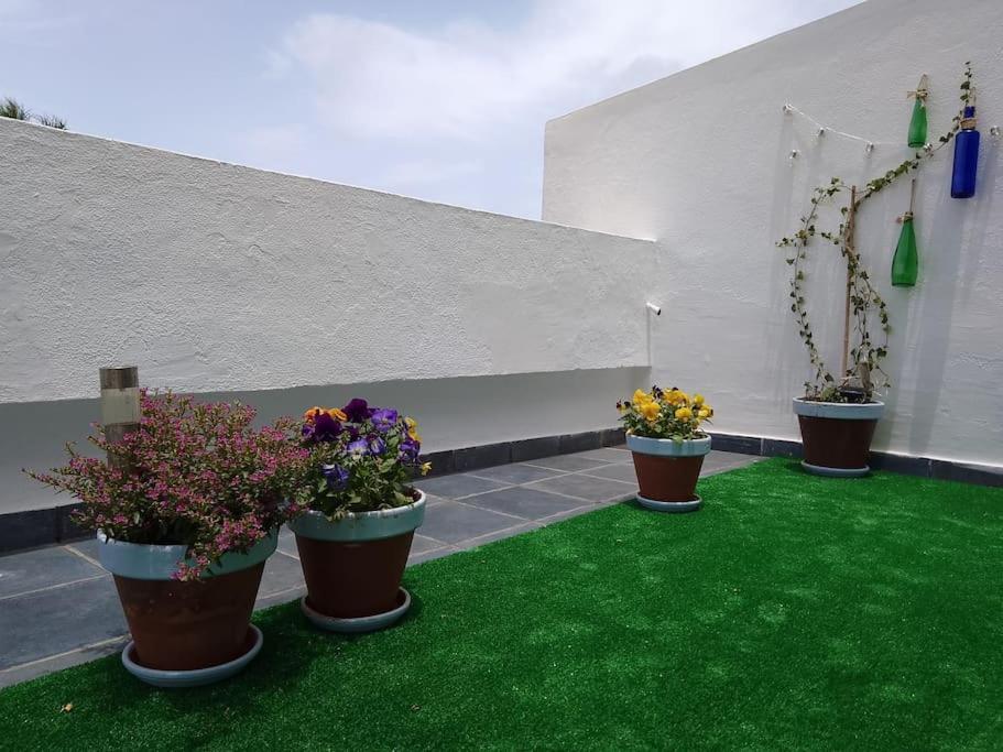Apartamento Humboldt ,Island Paradise La Orotava Exterior photo